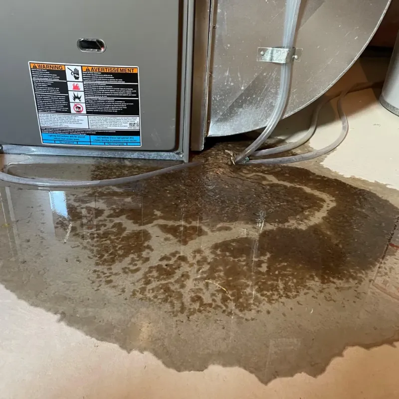 Appliance Leak Cleanup in Pine Level, AL